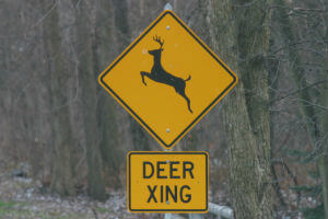 sign for deer crossing