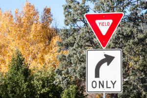 yield sign by trees