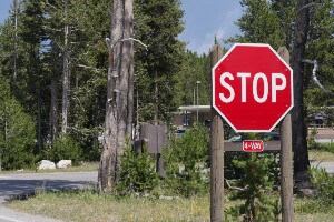 four-way stop sign in wooded area