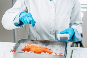 Iowa Restaurants and Stores Cited for Food Safety Violations