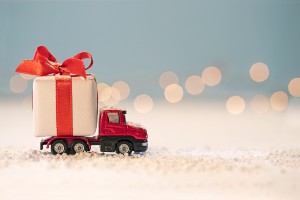 PKSD Newsletter: Be Aware of Retailers Selling Dangerous Products Online This Holiday Season